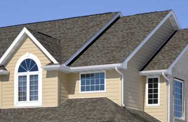 Up on the Roof: What's Trending in Roofing Options
